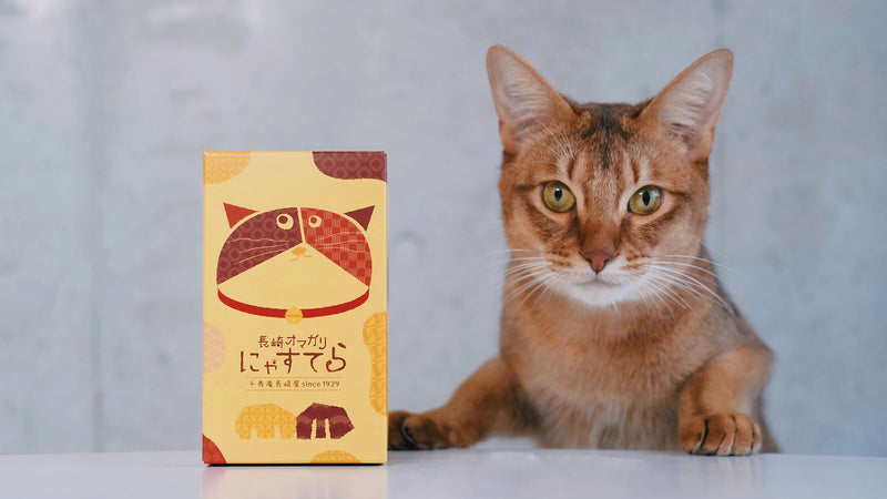 お菓子とお茶(と猫)｜猫好きにはたまらない！ 千寿庵 長崎屋「長崎オマガリにゃすてら」と「052 さえあかり」