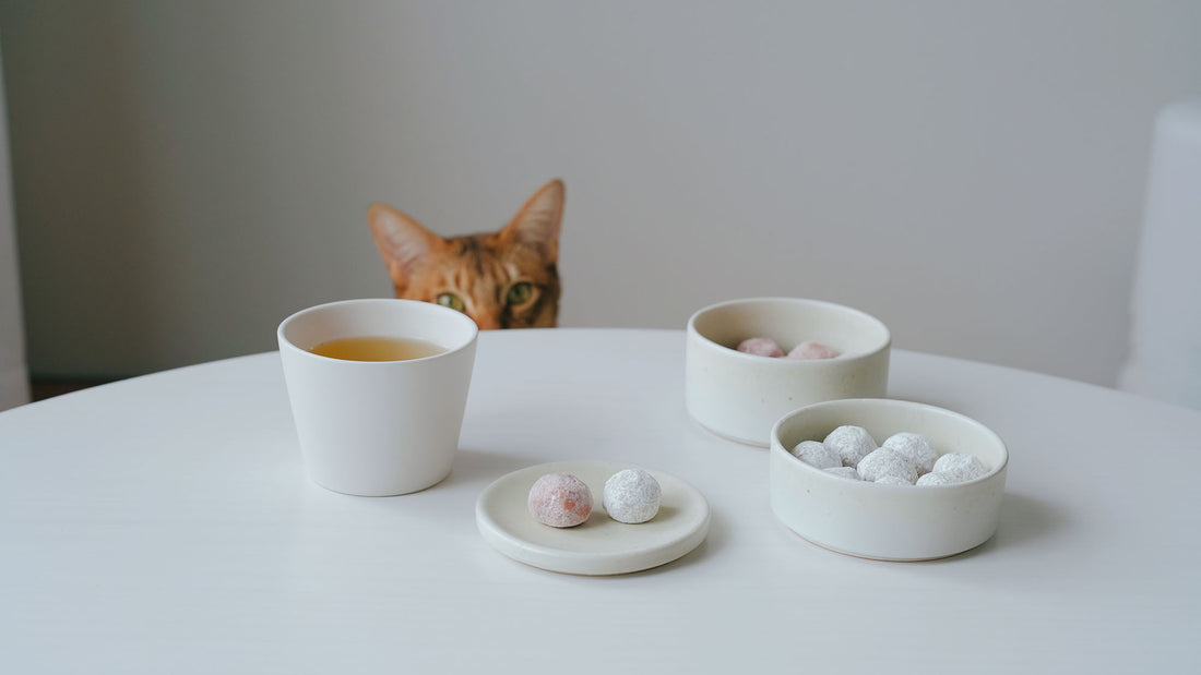 お菓子とお茶(と猫)｜春になると食べたくなる。都松庵「AN DE COOKIE」と「さくらの煎茶」
