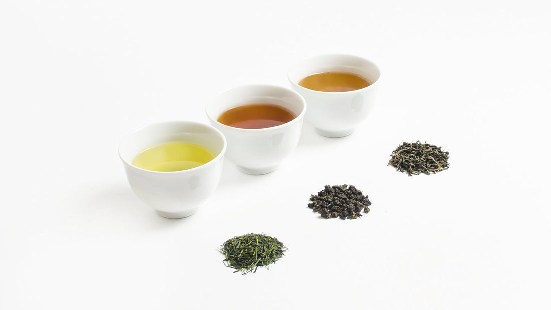 ティーブーム到来を前にきちんと知っておきたい 緑茶・烏龍茶・紅茶の違い