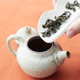 烏龍茶 べにふうき 6