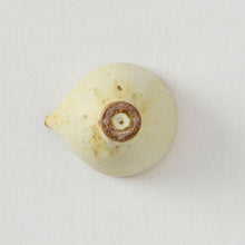 画像をギャラリービューアに読み込む, 小野陽介 片口
