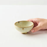 小野陽介 杯 8