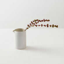 画像をギャラリービューアに読み込む, 児玉修治 片口
