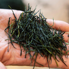 画像をギャラリービューアに読み込む, 干支のお茶「午年」2026
