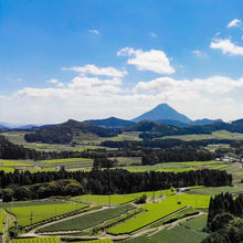 画像をギャラリービューアに読み込む, 005 OKUMIDORI おくみどり
