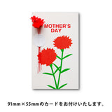 【母の日ギフト】ハーブティー＆フルーツ入り和紅茶 ティーバッグ 貴腐ワインレーズンセット 8