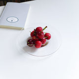 WASHIZUKA GLASS STUDIO dish 16