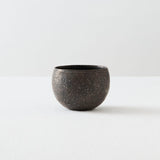 遠藤岳 Cup (Ro) 2