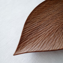 画像をギャラリービューアに読み込む, 堀宏治 木の葉
