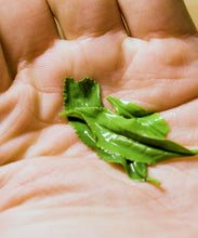 画像をギャラリービューアに読み込む, 干支のお茶「午年」2026
