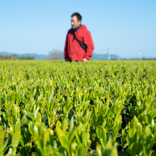 画像をギャラリービューアに読み込む, TOKYO TEA JOURNAL
